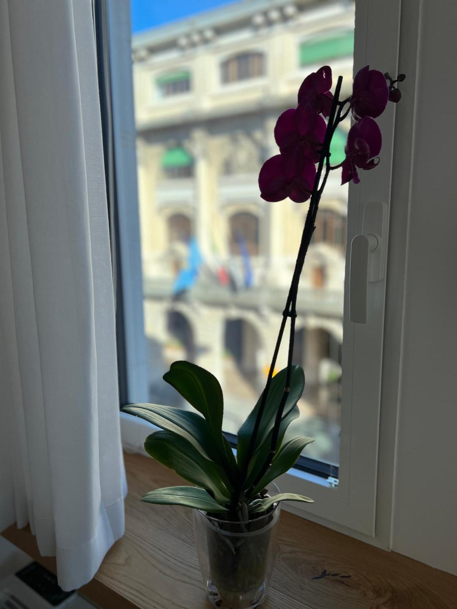 Appartement Conte Cavour à Udine Extérieur photo
